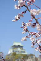 https://images.plurk.com/3wstjFdbLbt1gVQD8Ut1xj.jpg