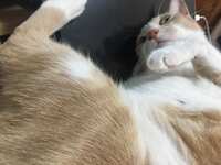 https://images.plurk.com/3wwWwCKH41EyXvbLAnDc7m.jpg