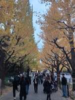 https://images.plurk.com/3x0AGT4REAiV5qBn8sGhUi.jpg