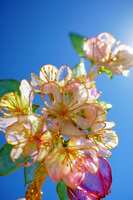 https://images.plurk.com/3x0CilZ9SbKmnZxPPt5ab9.jpg