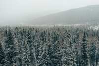 https://images.plurk.com/3x0b7Ok884kAyd1rHJuXha.jpg