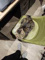 https://images.plurk.com/3x5OiPKrMMT5mkbLB74fVC.jpg