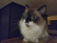 https://images.plurk.com/3x6CbmlPypo6JoqXivi65p.jpg