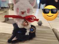 https://images.plurk.com/3x8YQw2yqtZSlWbDildmn7.png