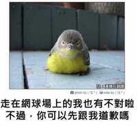 https://images.plurk.com/3xFIkOc1KRqSAAwWwHGjPP.jpg