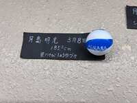 https://images.plurk.com/3xYMiki43p23WEsY38sxme.jpg