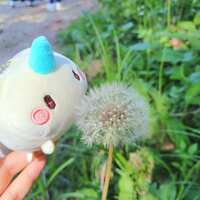 https://images.plurk.com/3xaQhhPe3qdp8ZFqJU5GRO.jpg