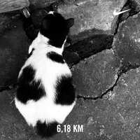https://images.plurk.com/3xdXoUY8LbYxrdK86BnoO3.jpg