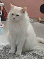 https://images.plurk.com/3xf8myWh7JFKXZZAGnNPL5.jpg