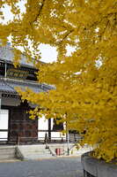 https://images.plurk.com/3xgMbwpizEu6nD3a20iSKa.jpg