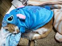https://images.plurk.com/3xgeA0jShytQgg2Ukw6fF0.jpg