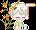 https://images.plurk.com/3xk3TfUBroRpXE7DkJ9Dvm.gif