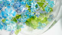 https://images.plurk.com/3xpZ6DkB8tLFrhPtEsqsCZ.jpg