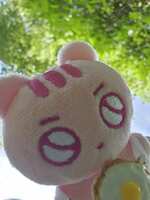 https://images.plurk.com/3xpx4keovBP5mmqQpMwMkI.jpg