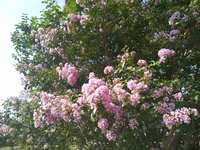 https://images.plurk.com/3xsmqHj0pZrzfzTwHCQNql.jpg