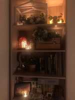 https://images.plurk.com/3xx8fxzqOpX2hz5rf52CRU.jpg