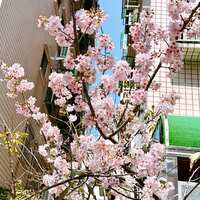 https://images.plurk.com/3xzBoHZ6ChWdz4S4d0olex.jpg