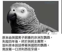 https://images.plurk.com/3xzNnNZ4ycte9P0lY5ozj7.jpg
