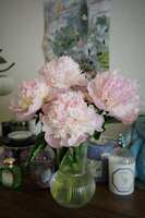 https://images.plurk.com/3y1h2Y944XAC4mIlYN94Z7.jpg
