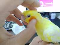 https://images.plurk.com/3y2V9r96BIp1UEPDOynDVs.jpg