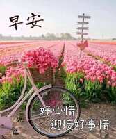 https://images.plurk.com/3yBEOfge5NjU7Lv142DP9j.jpg