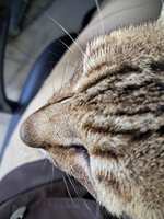 https://images.plurk.com/3yEl514Fm6QUaH2oP1AMMU.jpg