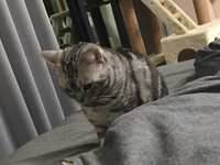 https://images.plurk.com/3yHKLNBcJVlJlXnOuIJ6K4.jpg