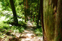 https://images.plurk.com/3yNItj8DOE5ZwNEyfCvbn7.jpg