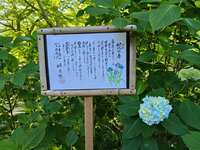 https://images.plurk.com/3yW3AZtkJ9g0mbX3qoqxEn.jpg