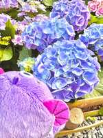 https://images.plurk.com/3ycRINoi6VKIwH20zaQ8Gk.jpg