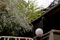 https://images.plurk.com/3yfHxOACozTPd26FVQeVuH.jpg