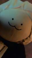 https://images.plurk.com/3yhEe5P2R3yRcXY4dmWdoL.png
