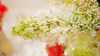 https://images.plurk.com/3ymrWH0HLhLGQL5ZpiswqZ.jpg