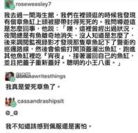 https://images.plurk.com/3yrLh10s9bE0eqA9FpKOe5.png