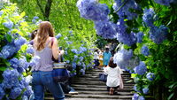 https://images.plurk.com/3yw09mw6lgzlDQpgvKCb.jpg