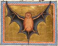 https://images.plurk.com/3ywVDue4O4WVCI3aoaaCdT.jpg