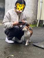 https://images.plurk.com/3zBzcl8jiZPdsGcxGqw9FW.jpg