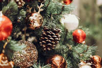 https://images.plurk.com/3zJA78uRsfexaRb557UG2a.jpg