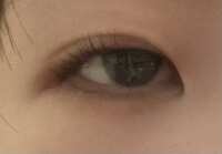 https://images.plurk.com/3zJRJkCaHPm6oglrGnkJWi.jpg