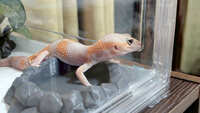 https://images.plurk.com/3zK2EeL0c9SGdxAfKPkpwc.jpg