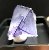 https://images.plurk.com/3zMOB37If5SuKqFHqa2FXo.jpg