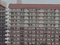 https://images.plurk.com/3zPzFMPnAE56wZcAmDCoqQ.jpg