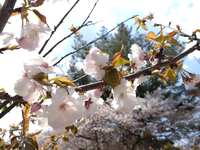 https://images.plurk.com/3zRIxMIBDWO6hFivtC2opm.jpg