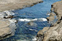 https://images.plurk.com/3zcoT5sXQZGdiqiuAypcnE.jpg