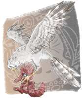 https://images.plurk.com/3zlPzl0m5IrTt8phtp20T8.png