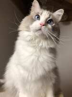 https://images.plurk.com/3znrS6vEwt0qdVnwDQzSVe.jpg