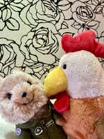 https://images.plurk.com/3zy6tw7NzMkiF8GFLGJYXd.jpg