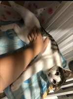 https://images.plurk.com/401hHRvuJJQ6ccaeiDK6fa.jpg