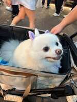 https://images.plurk.com/40DF8kj0aaIExWNLGKNNmD.jpg