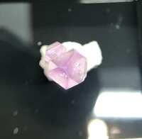 https://images.plurk.com/40NElAzKyE5MQxtSPqwttk.jpg
